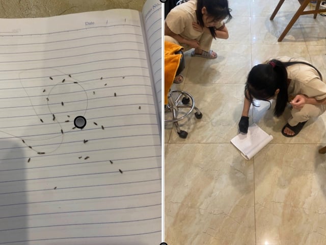 Ảnh bìa bài viết 1018397