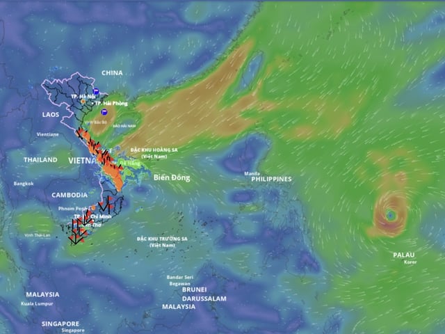 Ảnh bìa bài viết 1018398