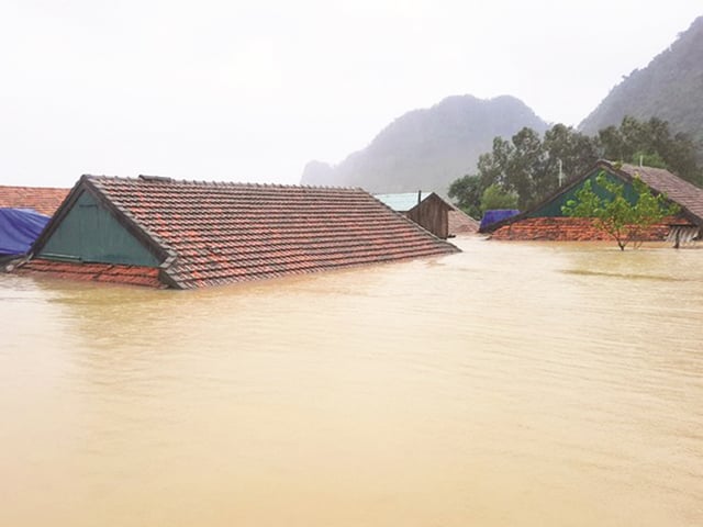 Ảnh bìa bài viết 1018410