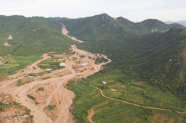 Ảnh bìa bài viết 1018421