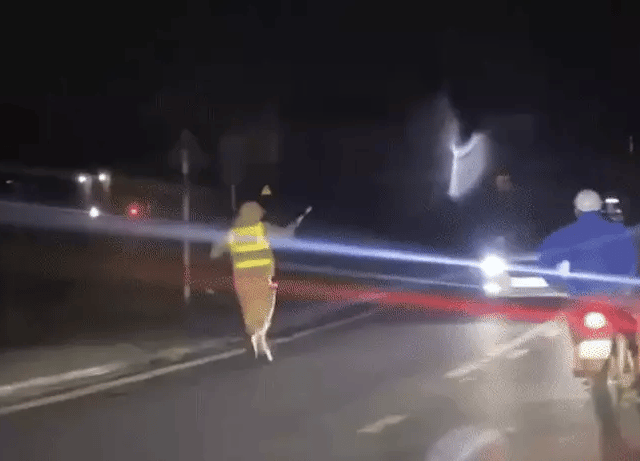 Ảnh bìa bài viết 1018490