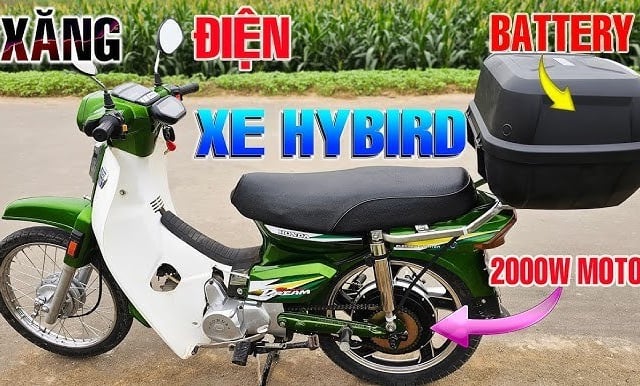 Ảnh bìa bài viết 1018606