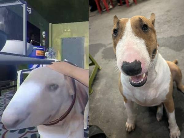 Ảnh bìa bài viết 1018610