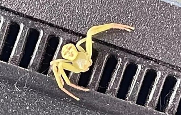 Ảnh bìa bài viết 1018761