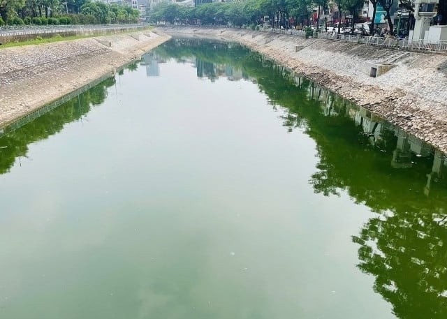 Ảnh bìa bài viết 1018769