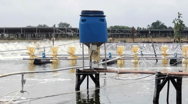 Ảnh bìa bài viết 1018868