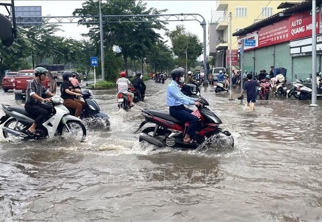 Ảnh bìa bài viết 1018884