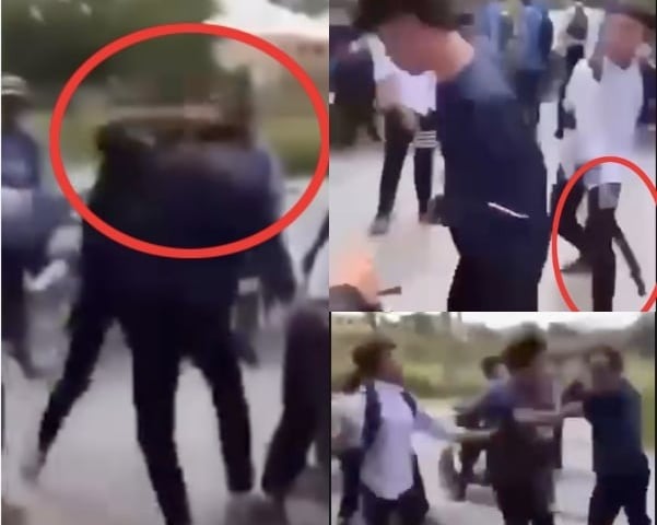 Ảnh bìa bài viết 1018915