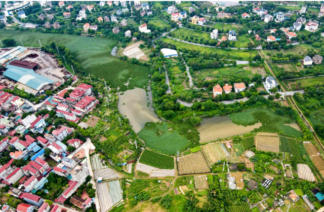 Ảnh bìa bài viết 1018991