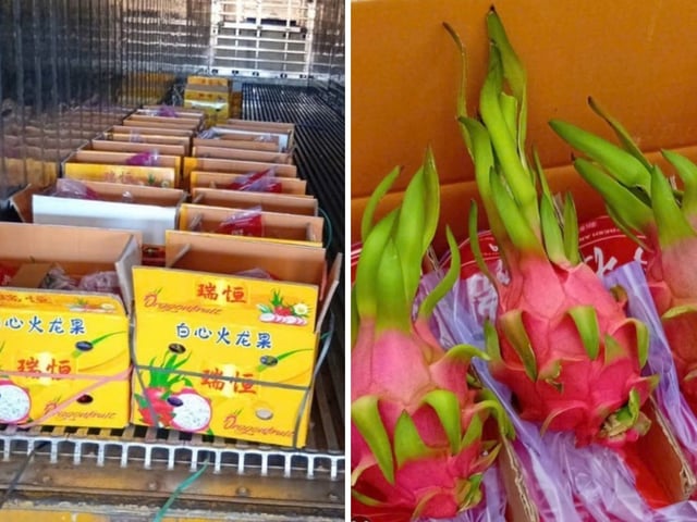 Ảnh bìa bài viết 1019136