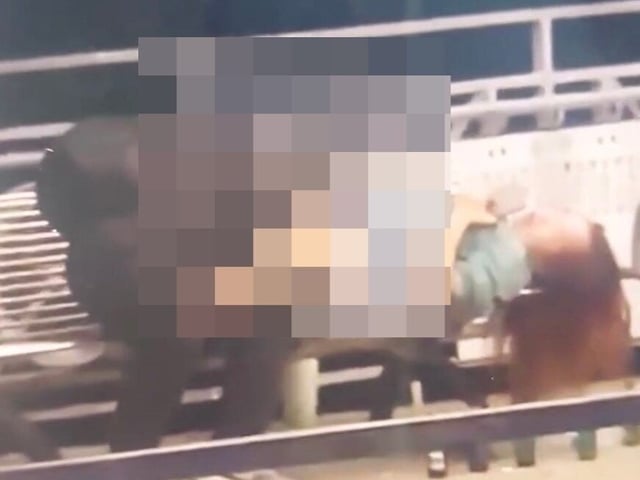 Ảnh bìa bài viết 1019248