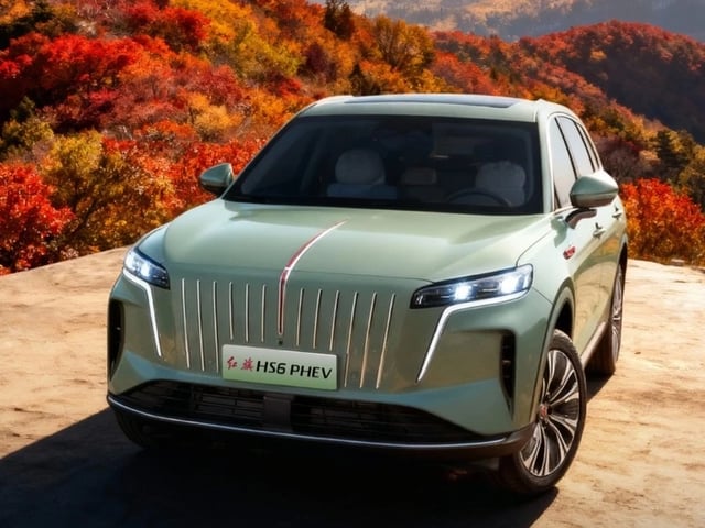 Ảnh bìa bài viết 1019261