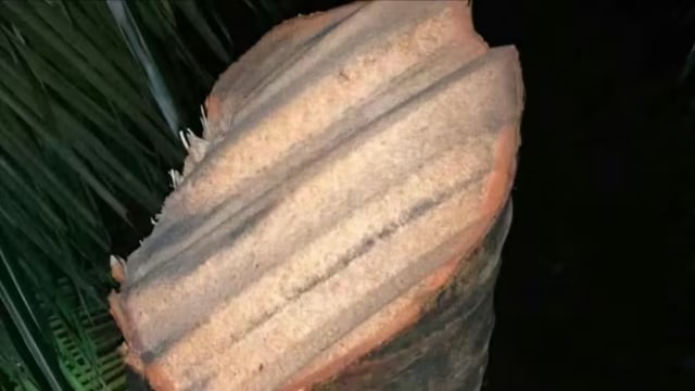 Ảnh bìa bài viết 1019286