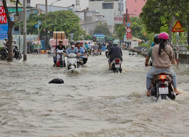 Ảnh bìa bài viết 1019310