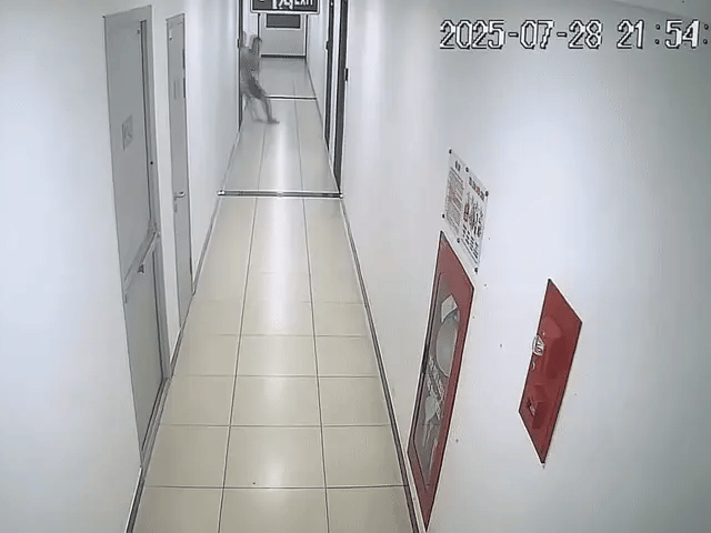 Ảnh bìa bài viết 1019431