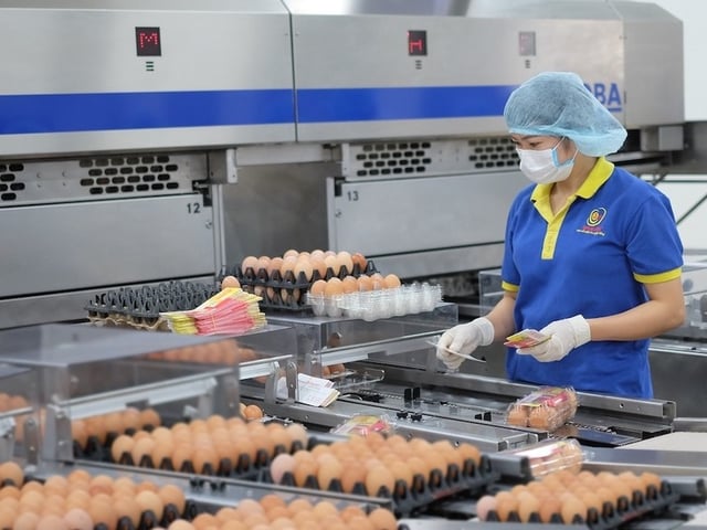 Ảnh bìa bài viết 1019563