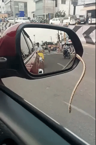 Ảnh bìa bài viết 1019683