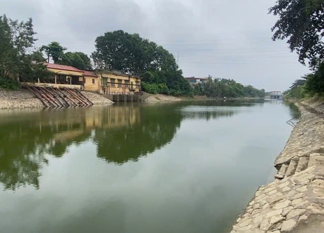 Ảnh bìa bài viết 1019687