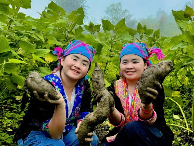 Ảnh bìa bài viết 1019715