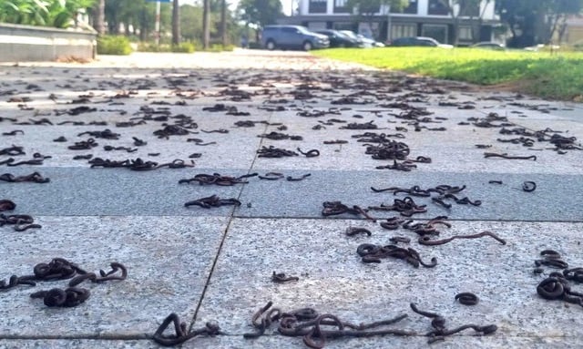 Ảnh bìa bài viết 1019728