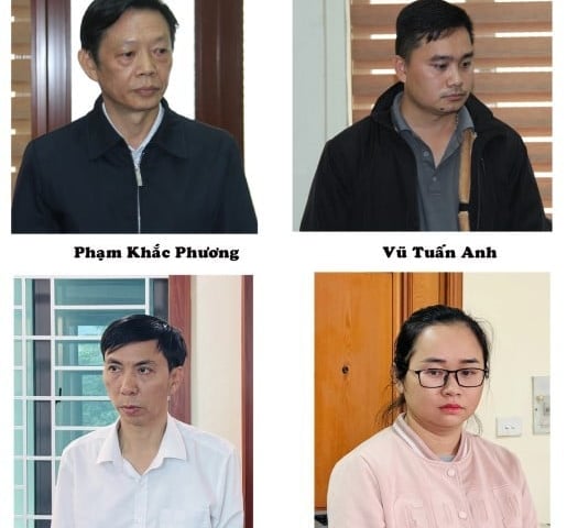 Ảnh bìa bài viết 1020025