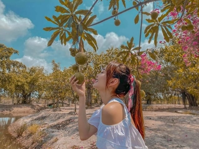 Ảnh bìa bài viết 1020031