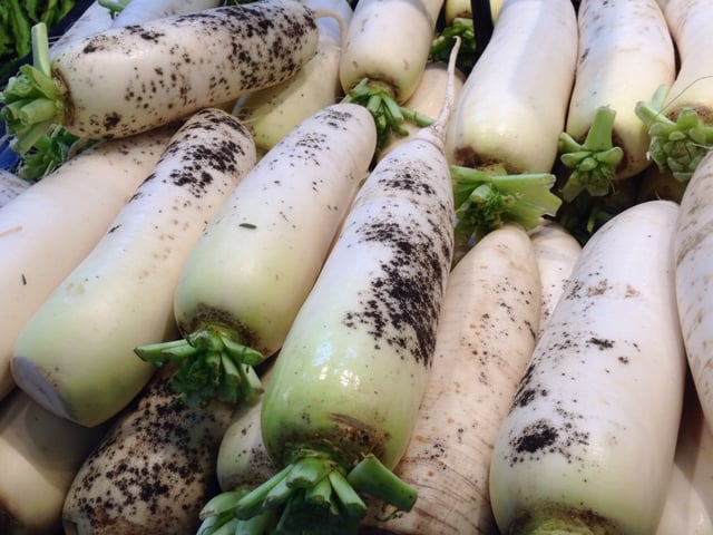 Ảnh bìa bài viết 1020067