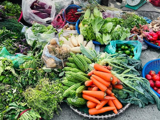 Ảnh bìa bài viết 1020071