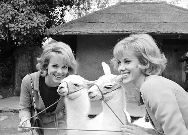 Đọc nhanh bài viết #1020334