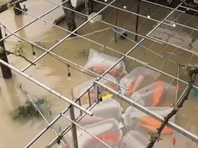 Ảnh bìa bài viết 1020404