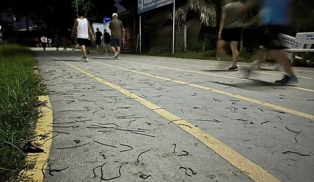 Ảnh bìa bài viết 1020487