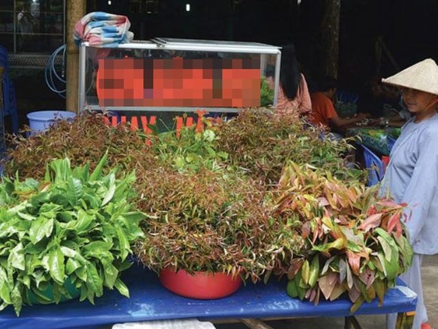 Ảnh bìa bài viết 1020625