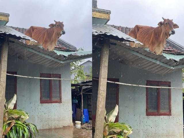 Ảnh bìa bài viết 1020633