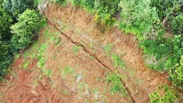 Ảnh bìa bài viết 1020664