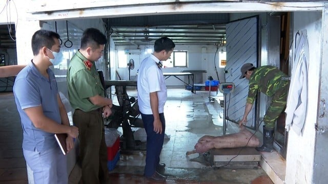 Ảnh bìa bài viết 1020708