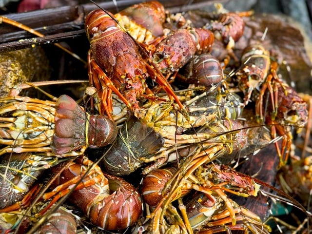 Đọc nhanh bài viết #1020845