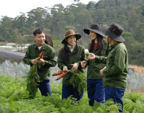 Ảnh bìa bài viết 1020880