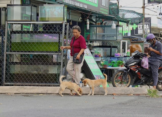 Ảnh bìa bài viết 1021058