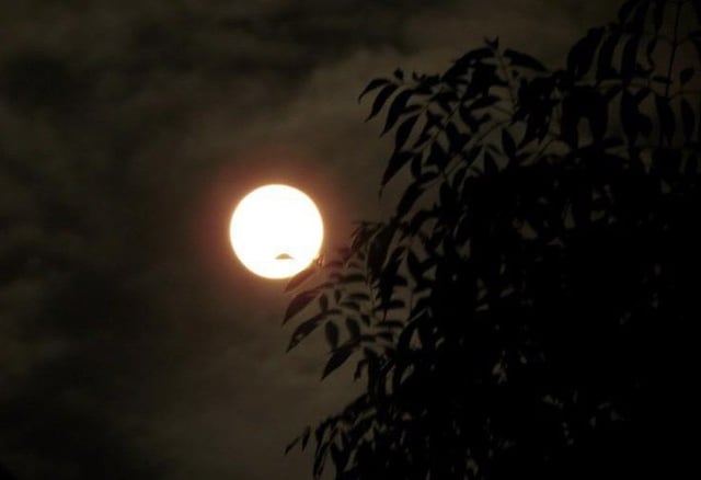 Ảnh bìa bài viết 1021123