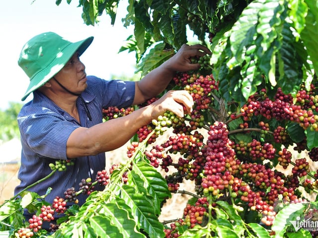 Ảnh bìa bài viết 1021204