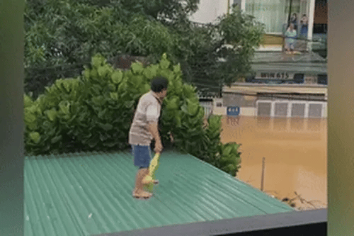 Ảnh bìa bài viết 1021250