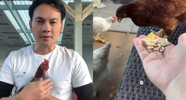 Ảnh bìa bài viết 1021302