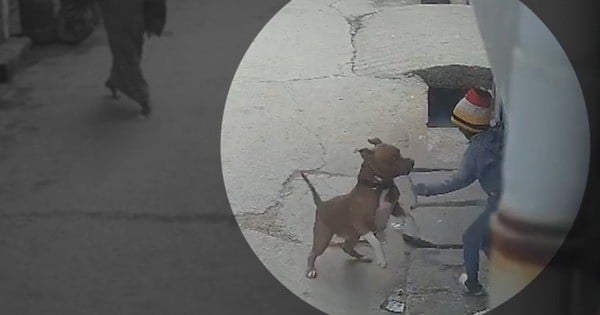 Ảnh bìa bài viết 1021384