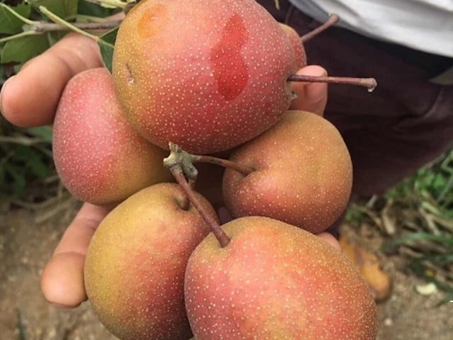 Ảnh bìa bài viết 1021423