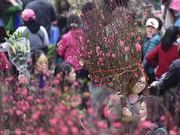 Đọc nhanh bài viết #1021501