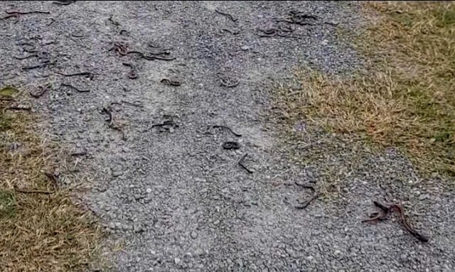 Ảnh bìa bài viết 1021600