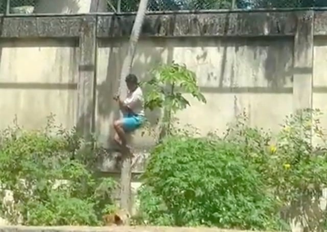 Ảnh bìa bài viết 1021618