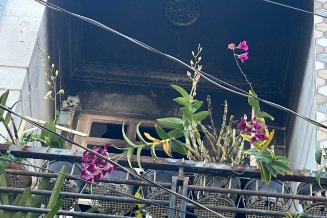 Đọc nhanh bài viết #1021644