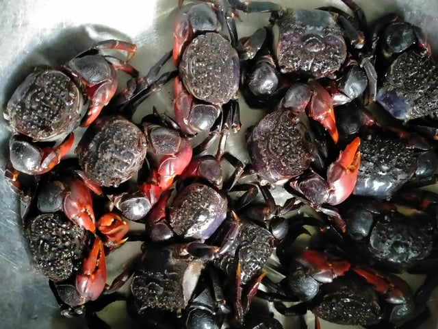 Đọc nhanh bài viết #1021780