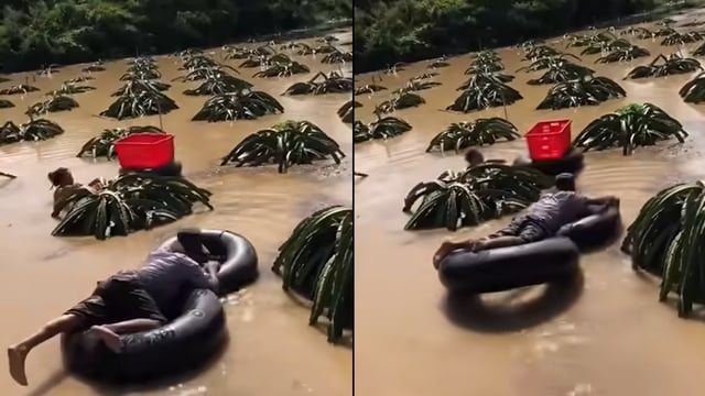 Đọc nhanh tin nổi bật 1021980